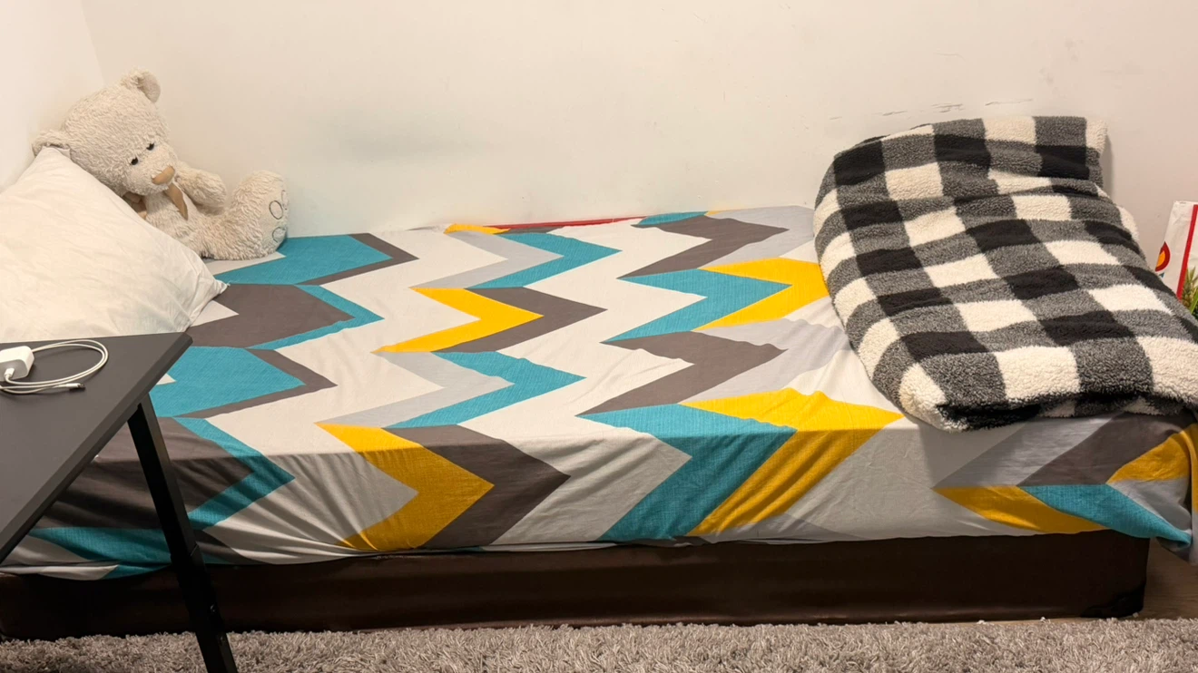 Single bed frame and mattress