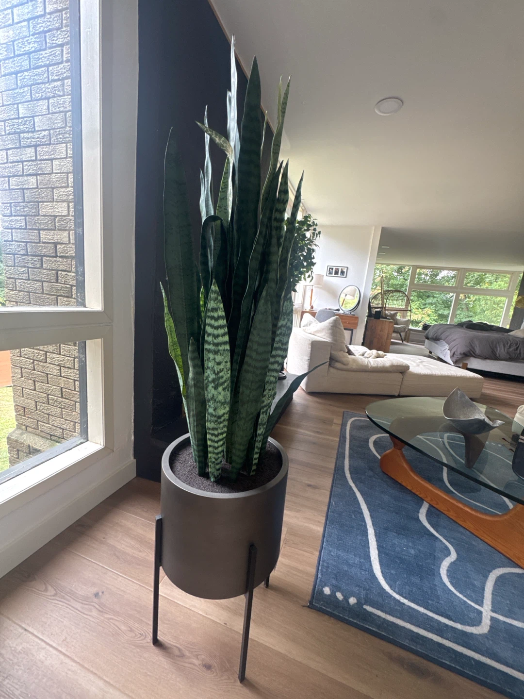 Large Artificial Snake Plant with Metal Stand