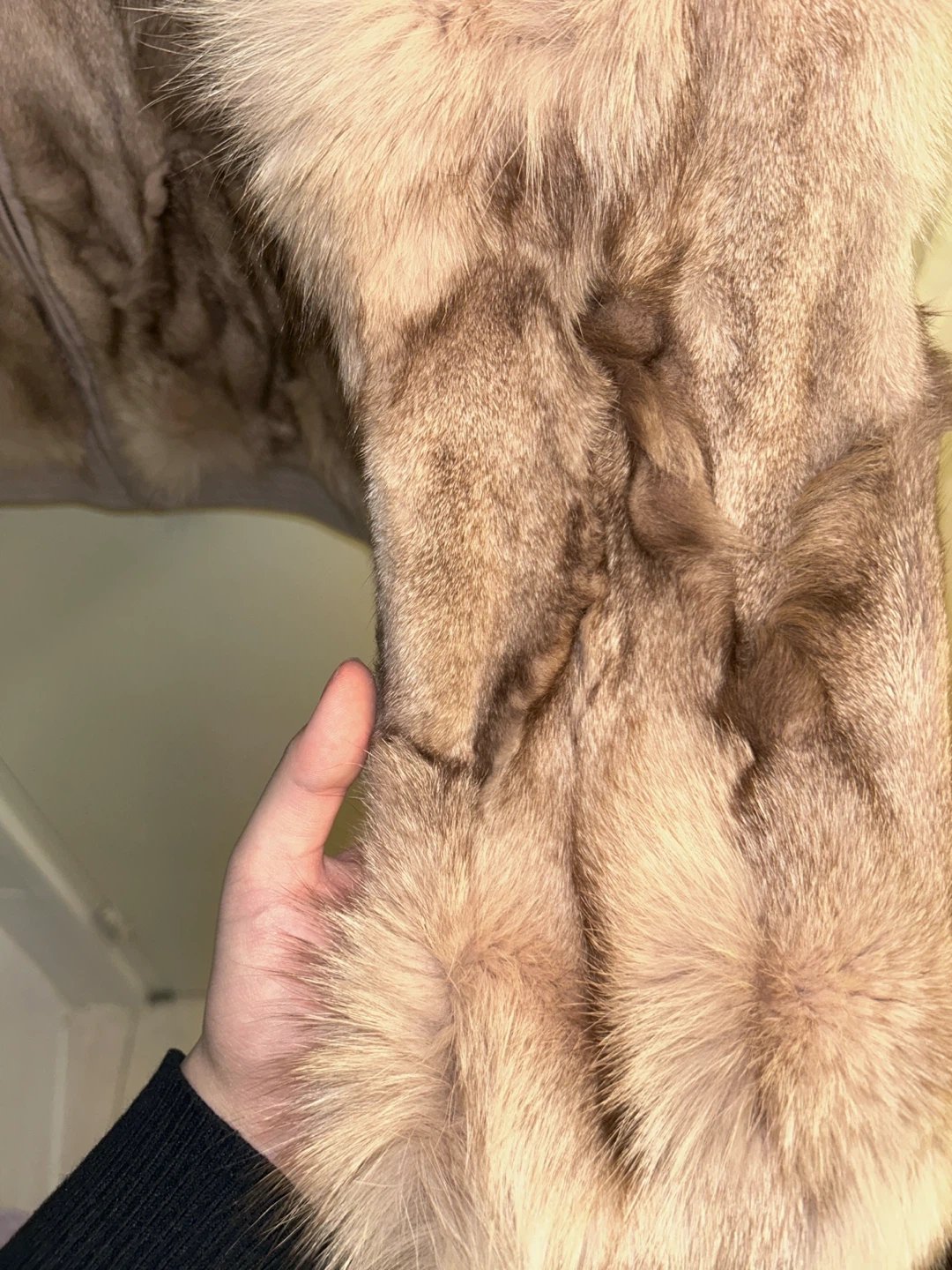 Real Lambskin & Fox Fur High-Neck Jacket - Korean brand - photo 5