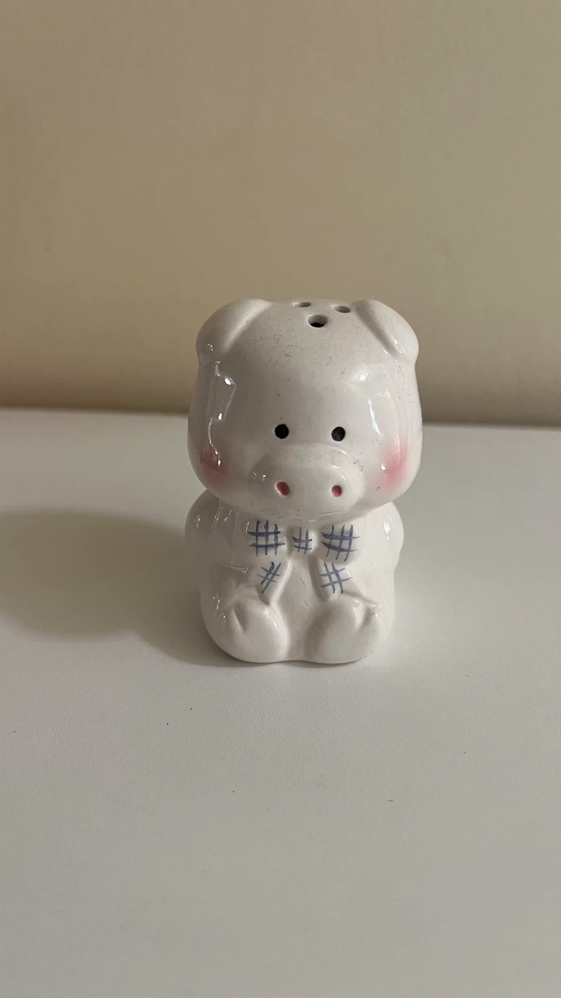 Ceramic Pig Salt Shaker