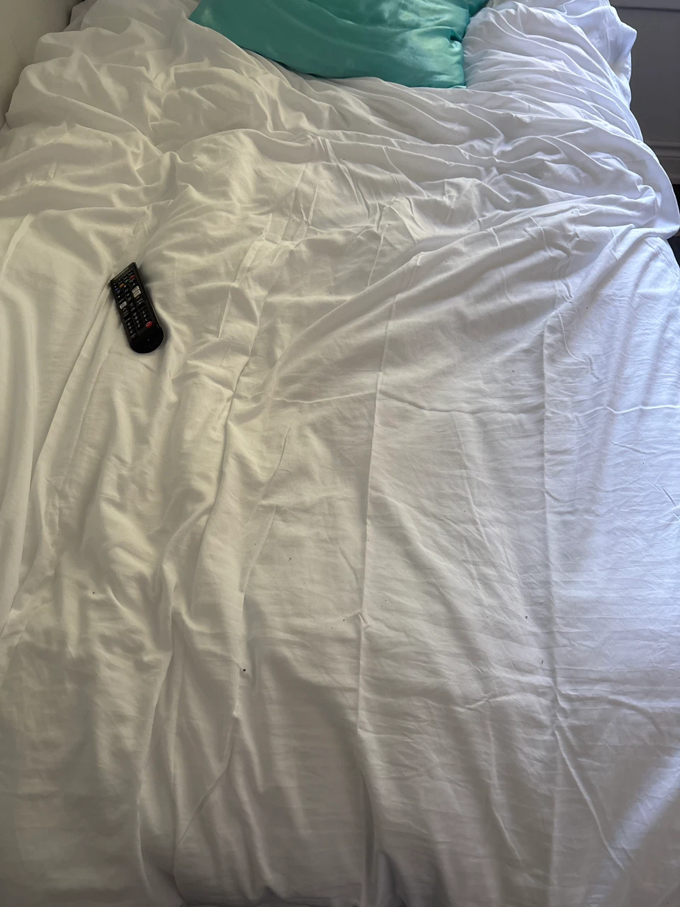 Duvet Insert and Cover