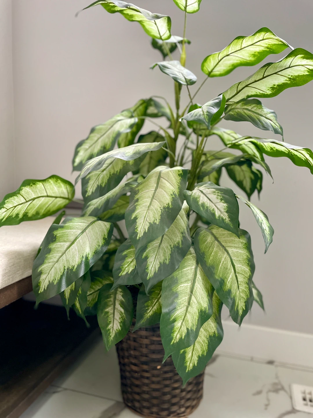 Artificial Dieffenbachia plant in wicker basket