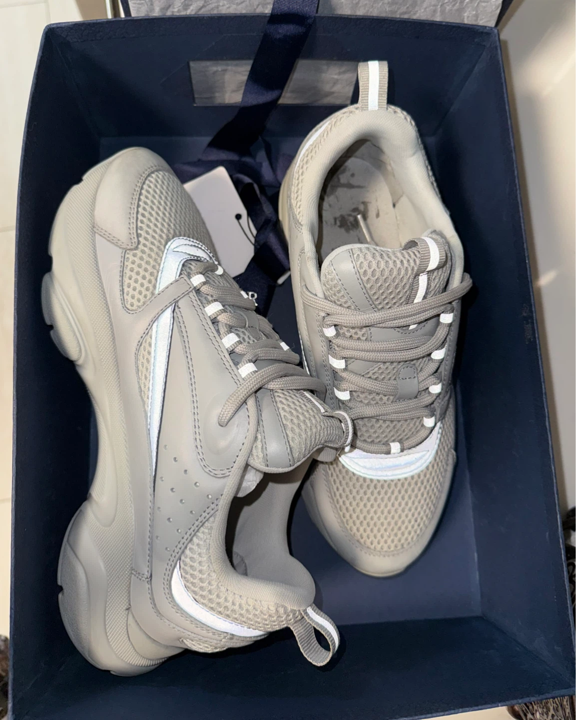 Dior B22 Sneakers Gray