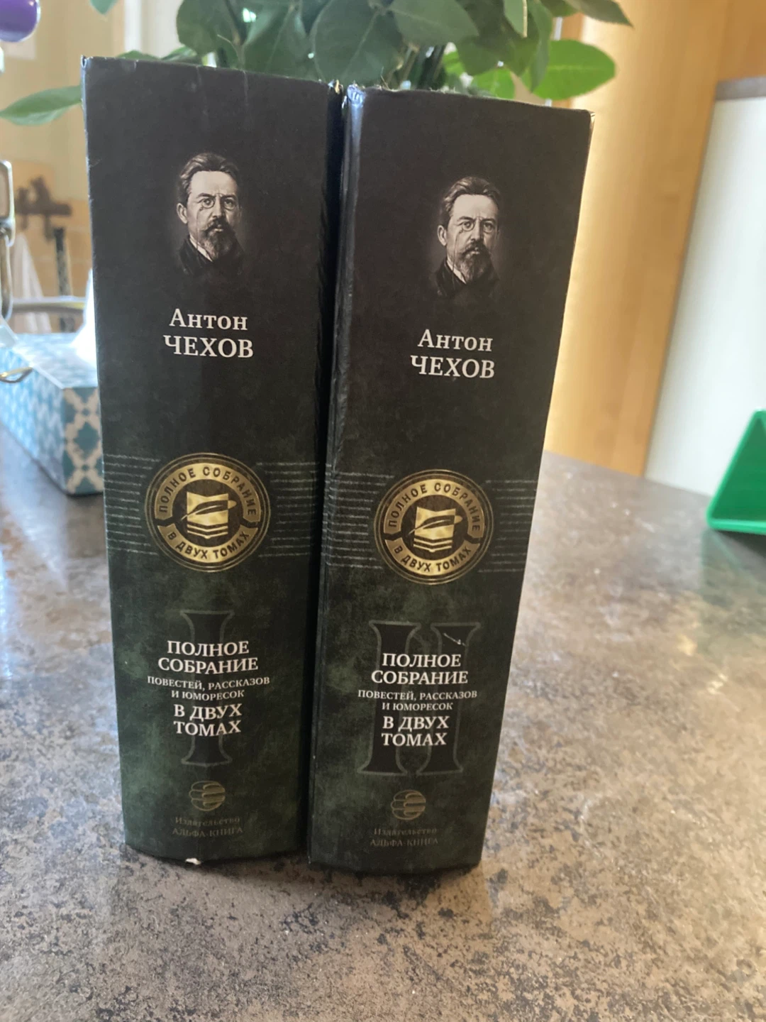 Anton Chekhov Two Volume Collected Works - photo 3