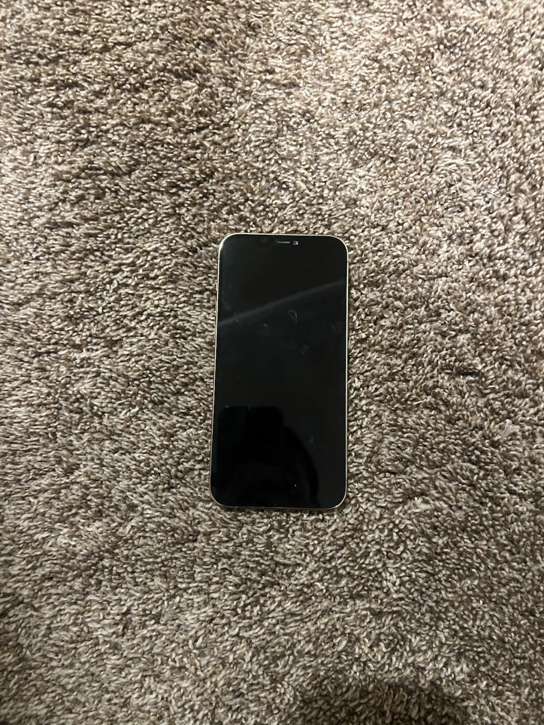 Apple iPhone 12 Pro Max