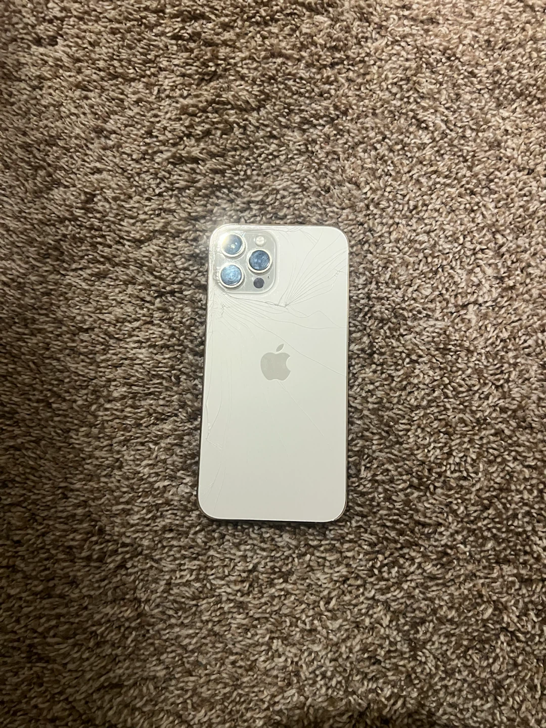 Apple iPhone 12 Pro Max - photo 2