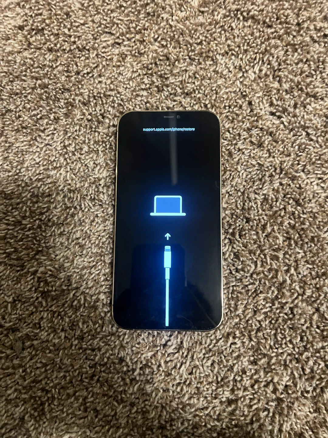 Apple iPhone 12 Pro Max - photo 3