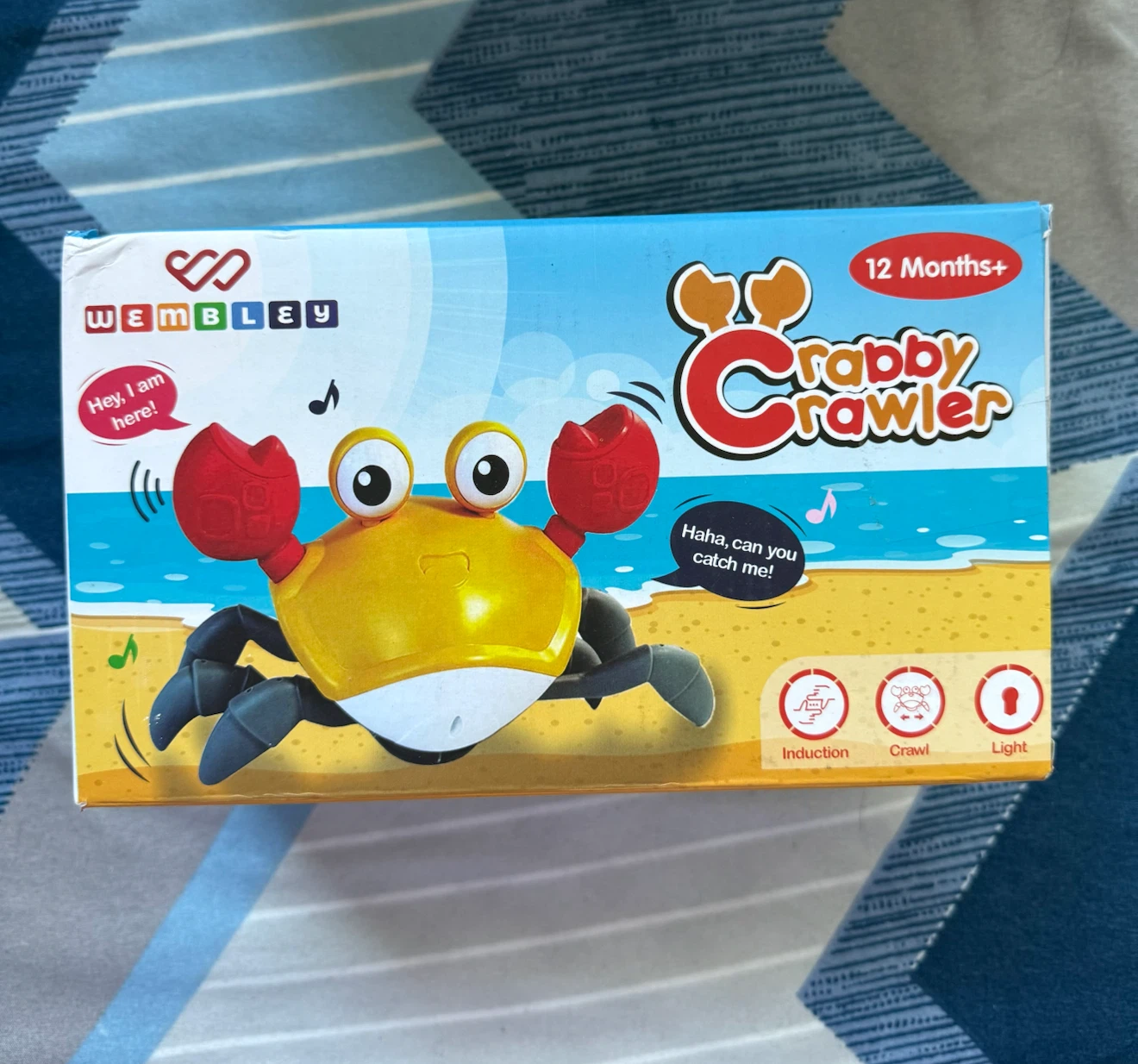Baby Crawling Crab Toy