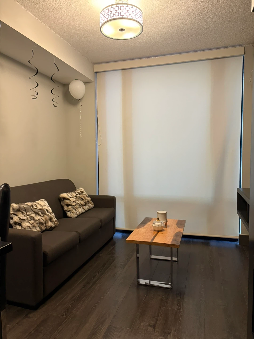 Condo for Rent at Waterloo University - photo 4