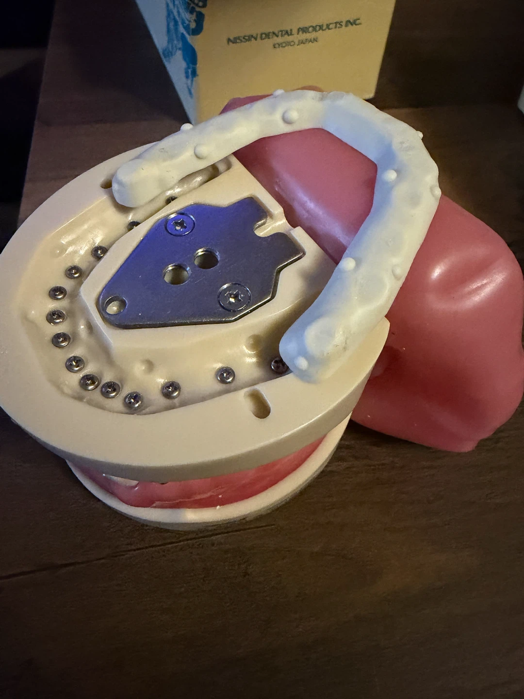 Nissin Dental Study Model PRO2001-UL-SP-DPMOW-32 - photo 5