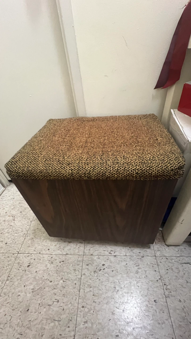 Vintage Storage Ottoman with Hinged Lid