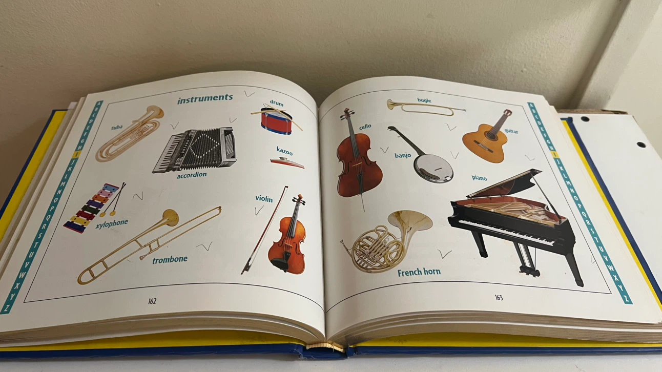 Scholastic Picture Dictionary/Song to Sings/100 Cookies - photo 3