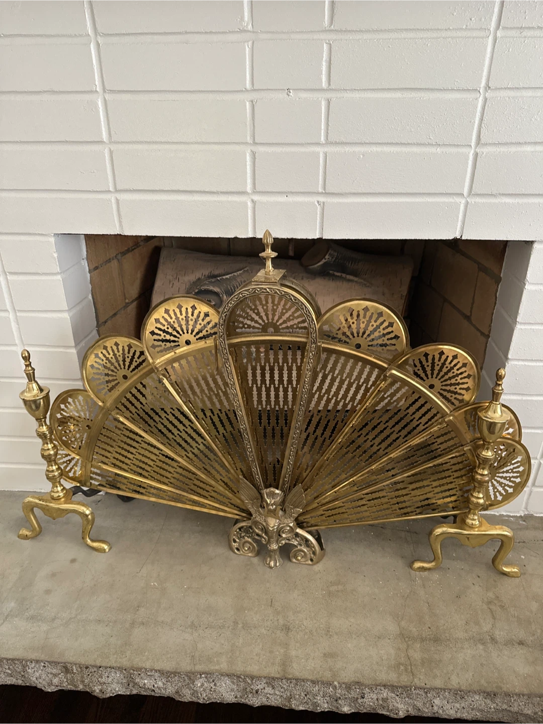 Fireplace screen - photo 2