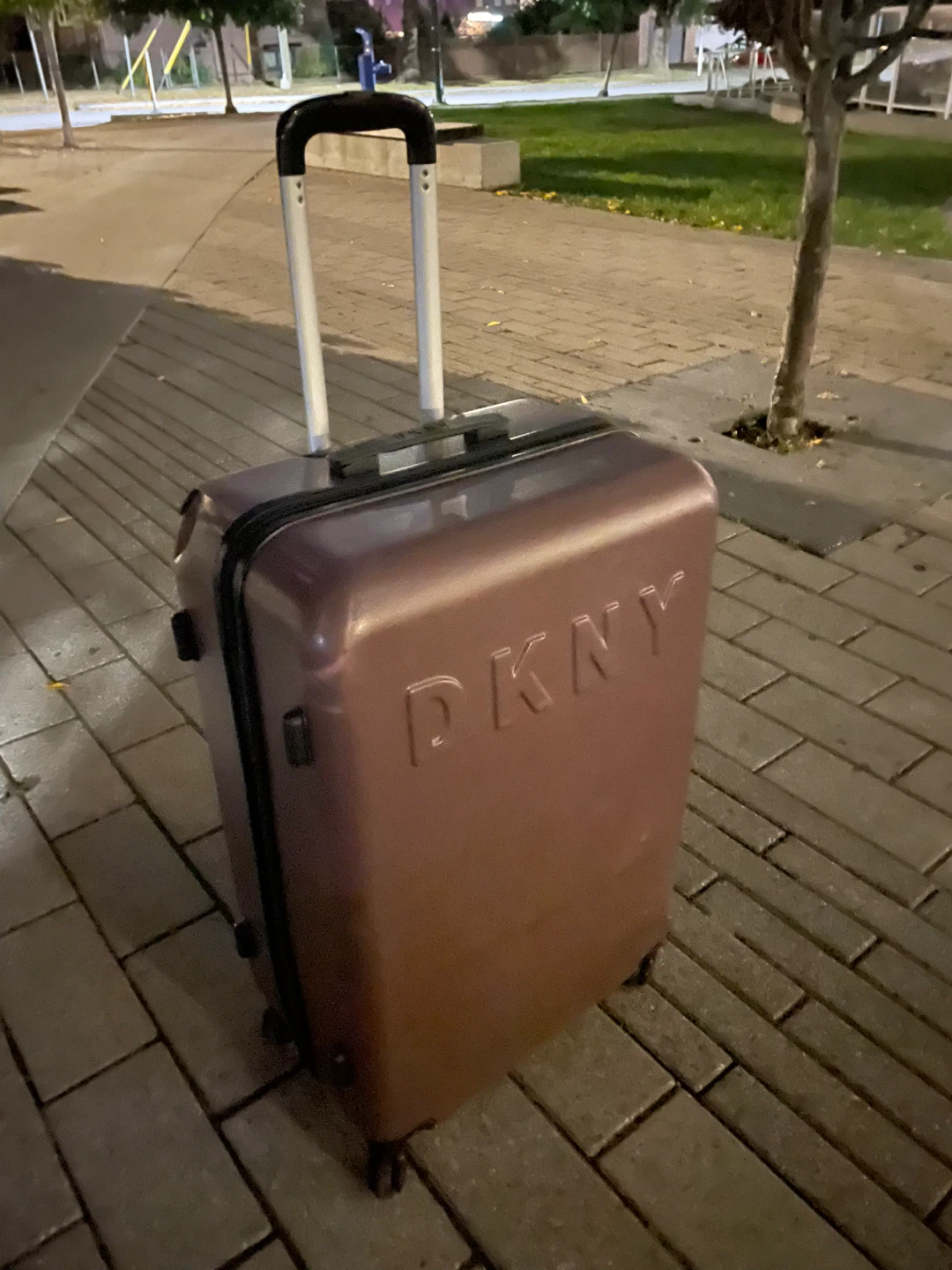 DKNY Hardside Carry-On Luggage
