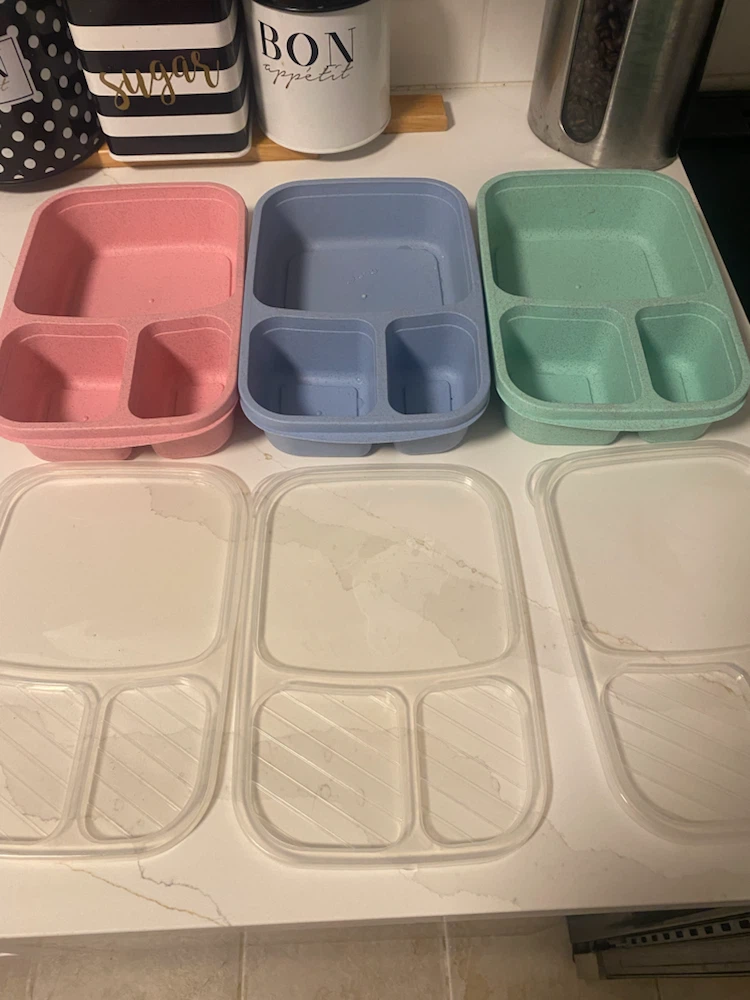Set of 3 Divided Food Storage Containers