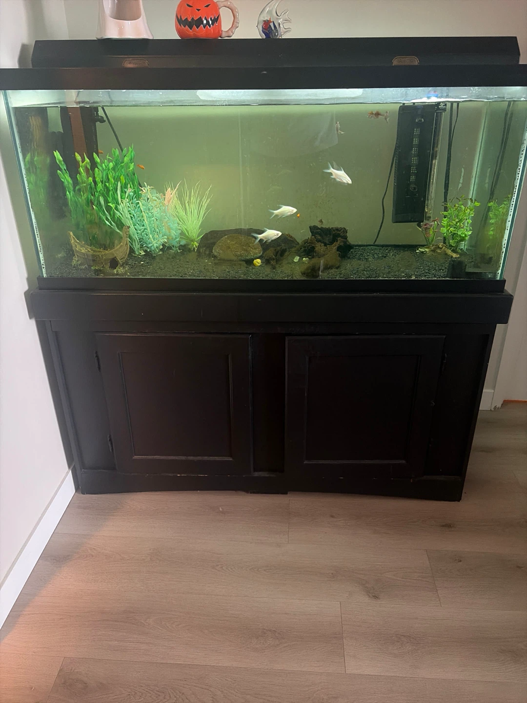 Aqueon Aquarium with Matching Cabinet Stand