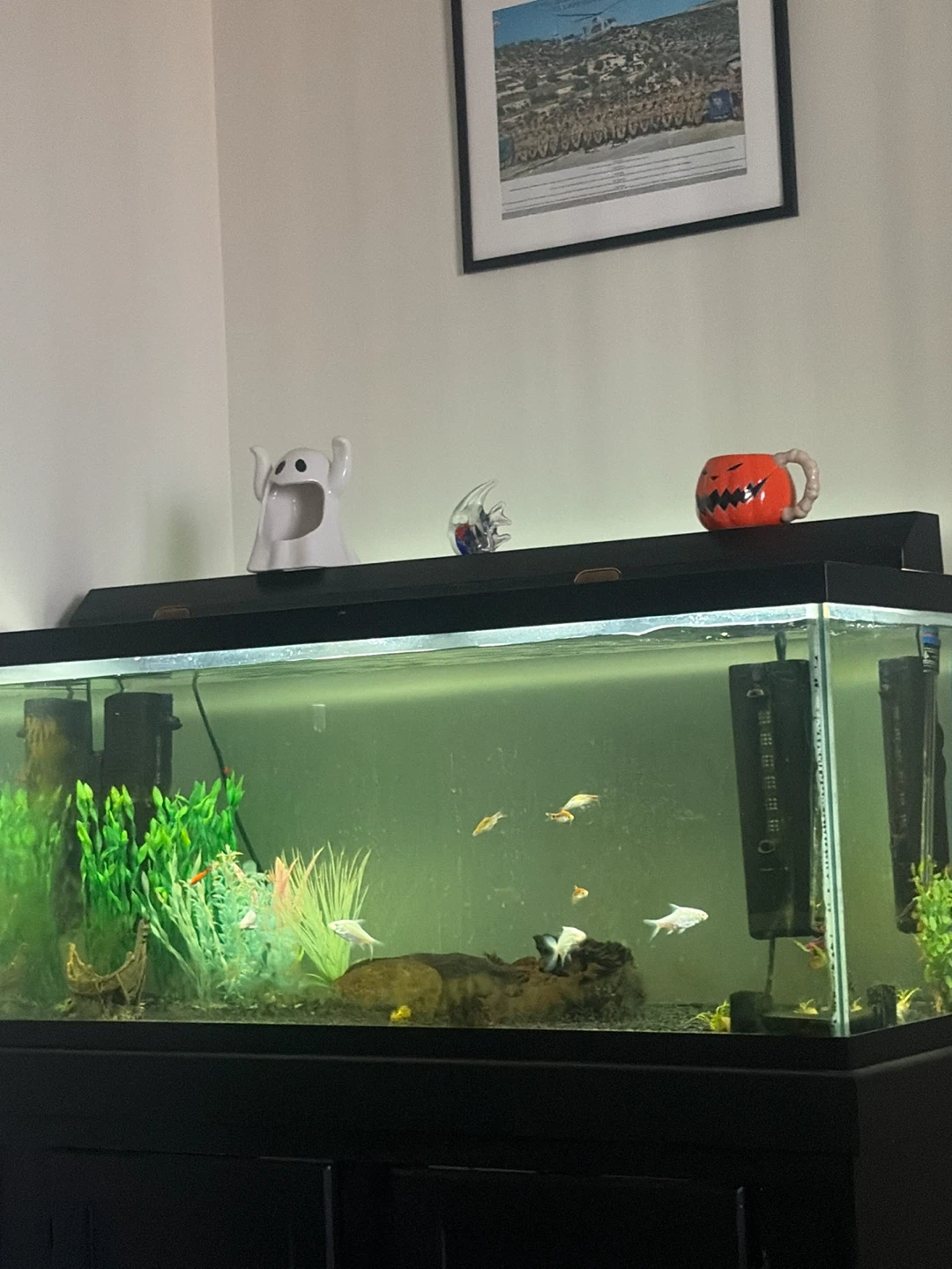 Aqueon Aquarium with Matching Cabinet Stand - photo 2