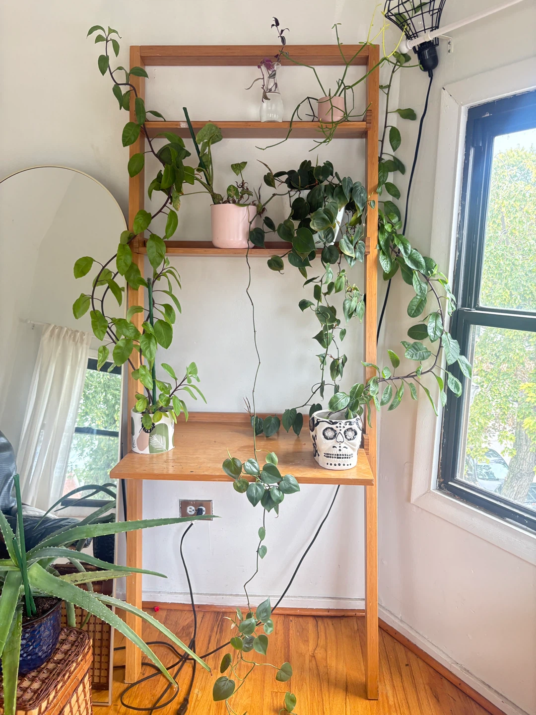 Wooden ladder desk