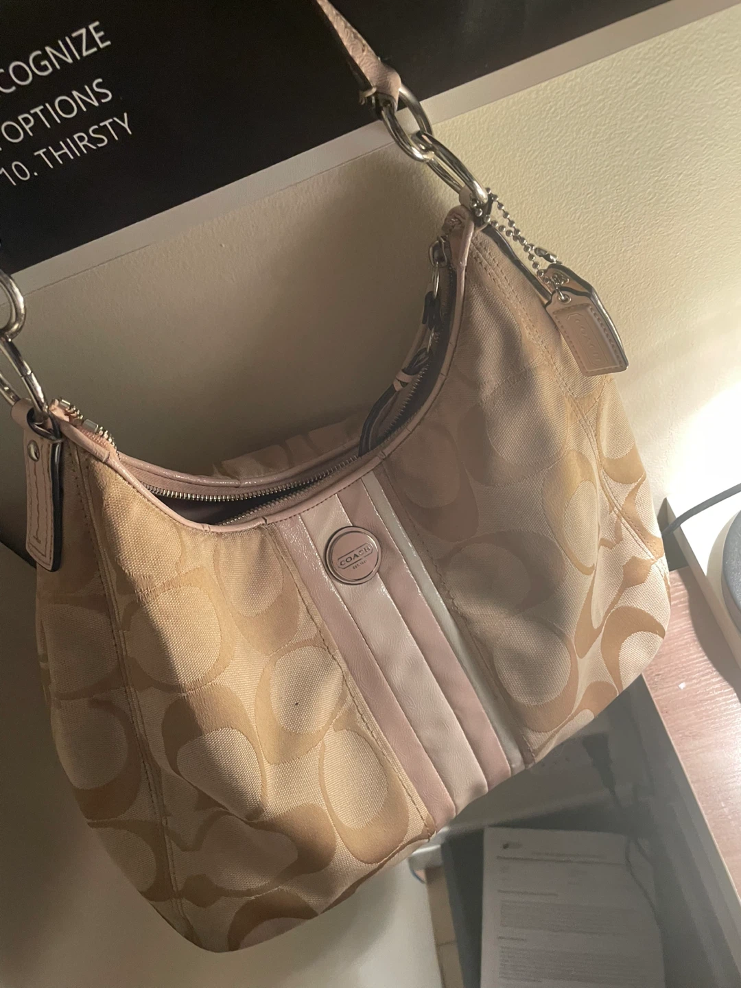 Coach Signature Hobo Bag