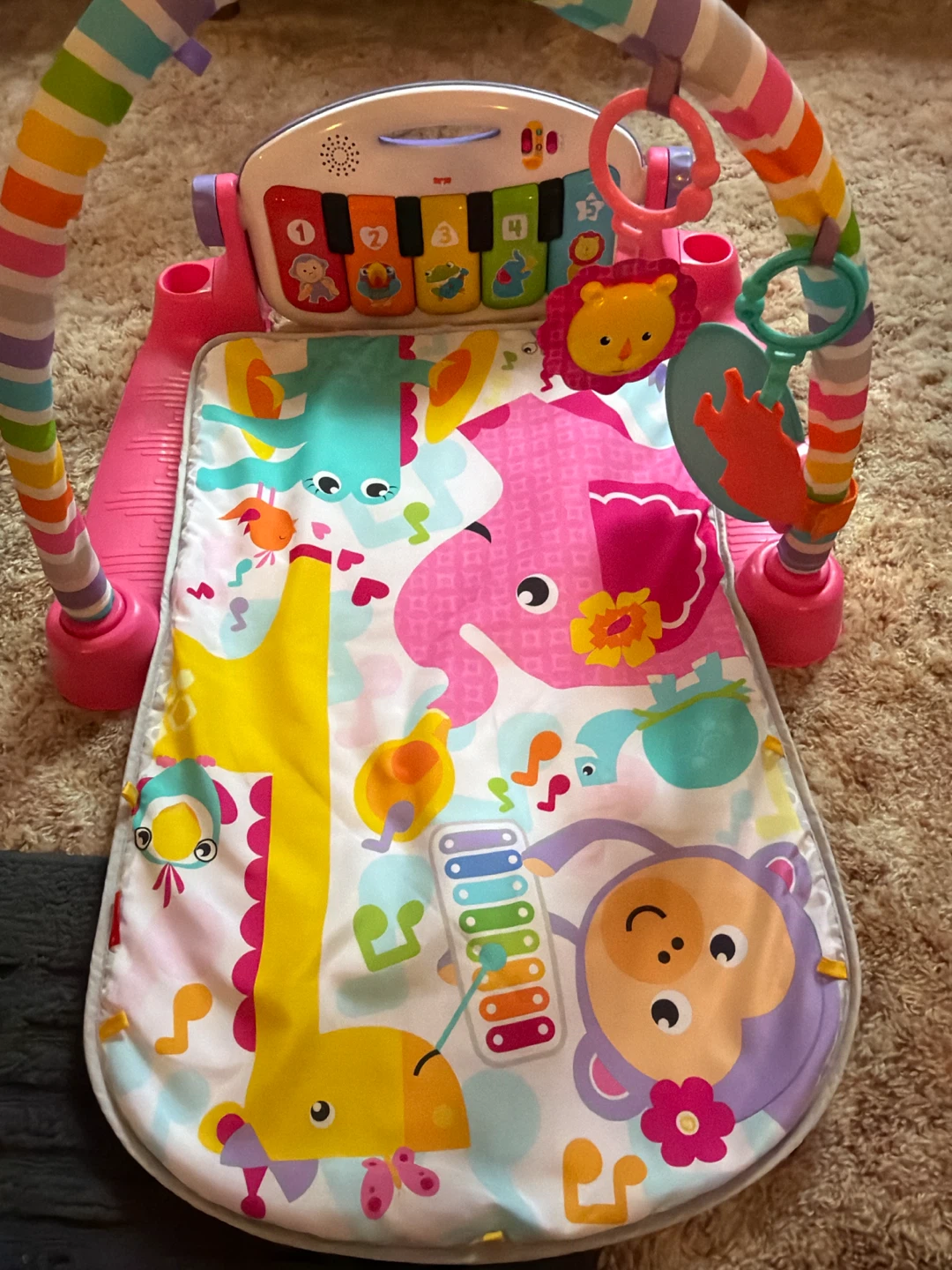 Fisher-Price Kick and Play Piano Gym - photo 2