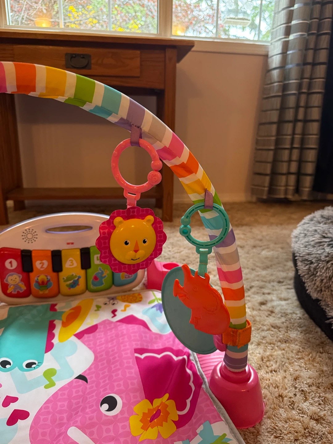 Fisher-Price Kick and Play Piano Gym - photo 3