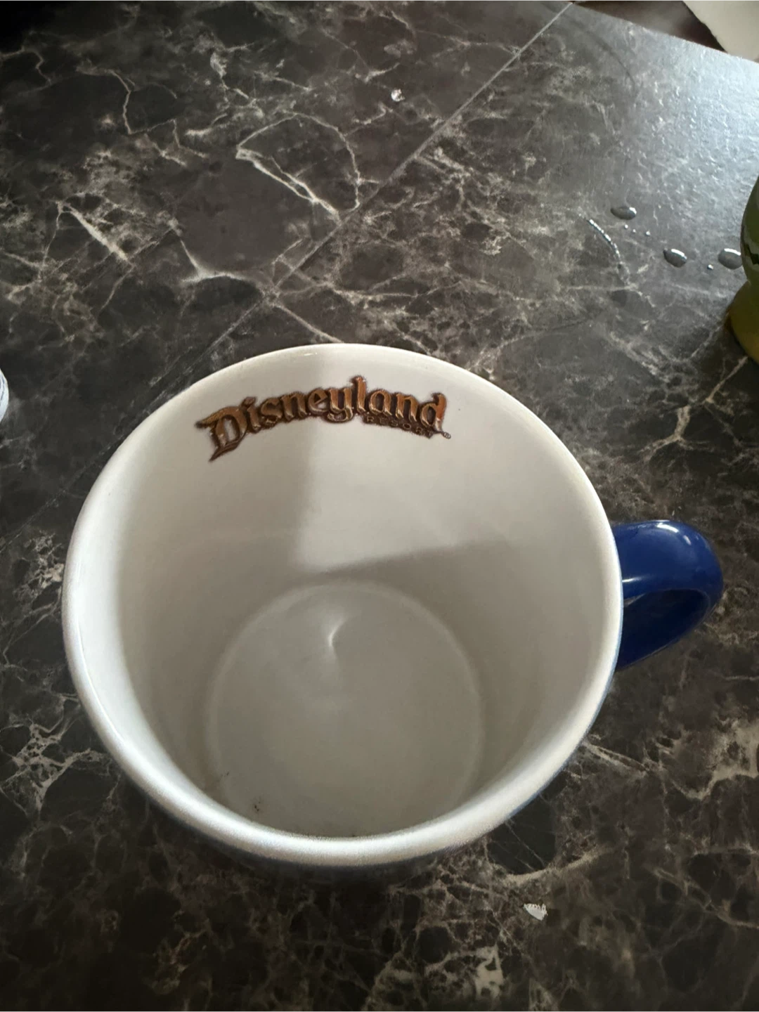 Disneyland Resort Character Mug