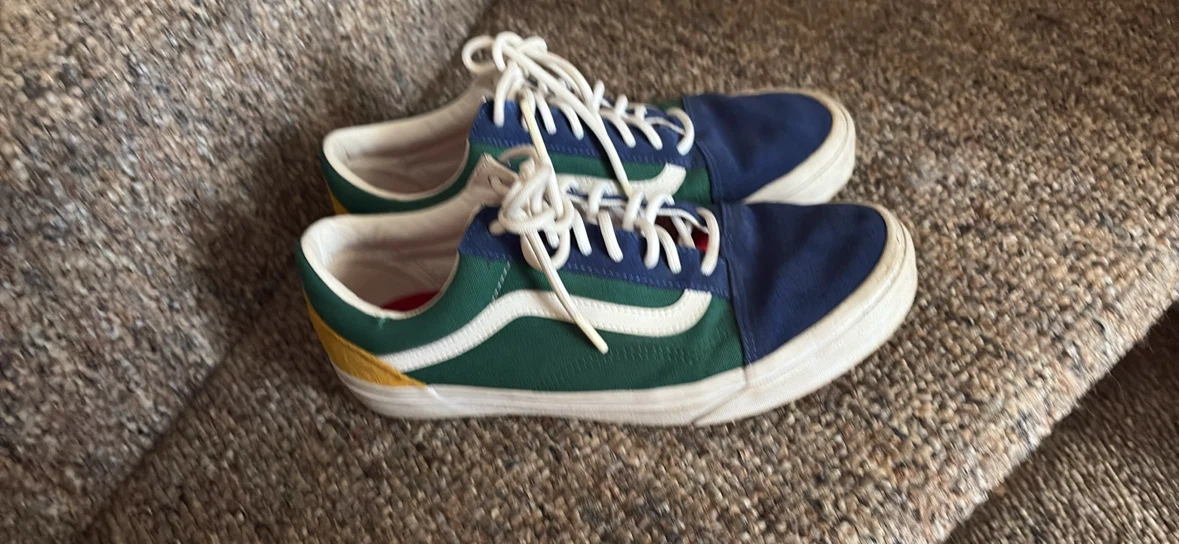 Vans Old Skool Multi-Colour Sneakers