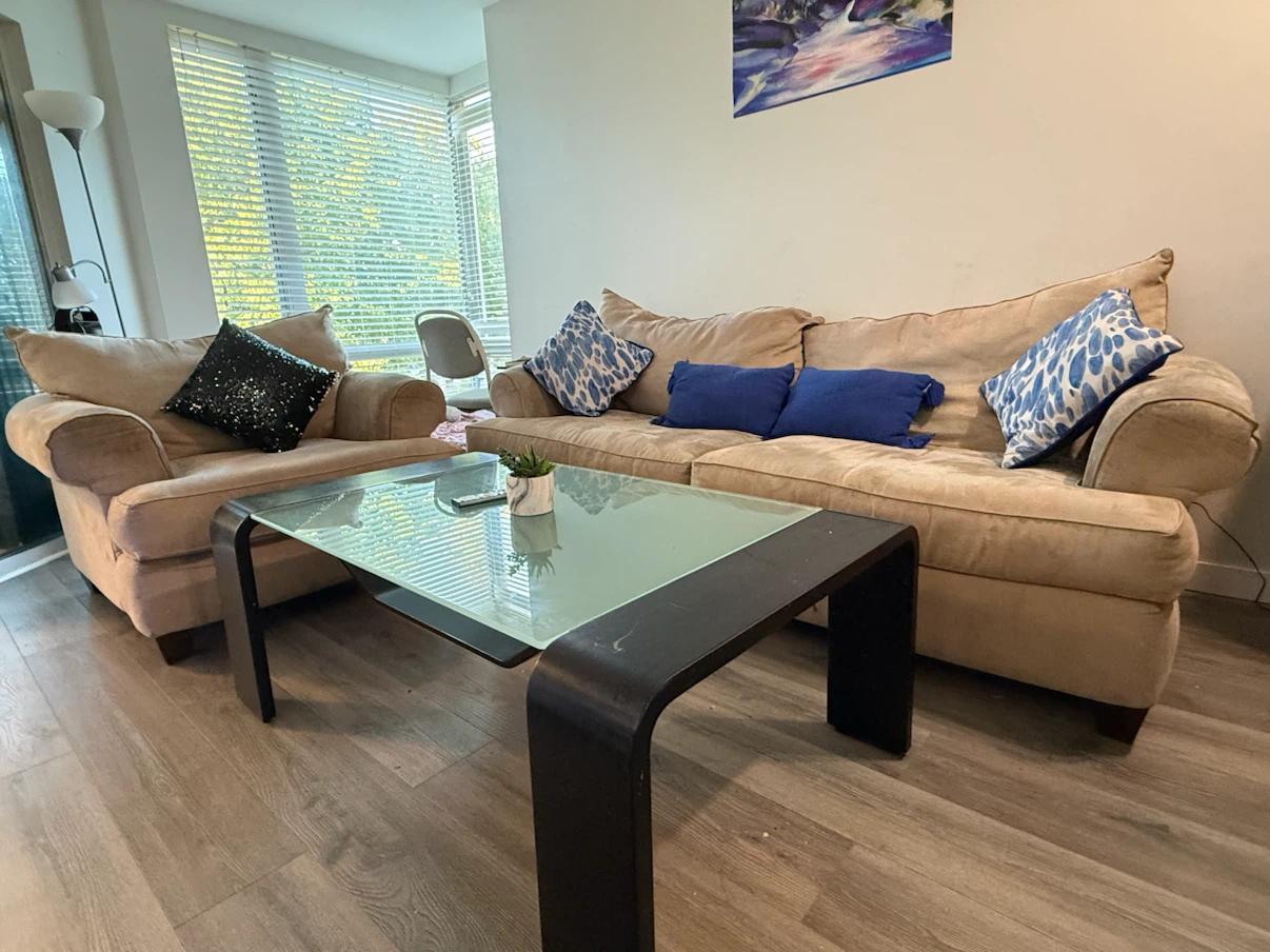 "Sofa + Chair Set $25 – FREE Coffee Table"
