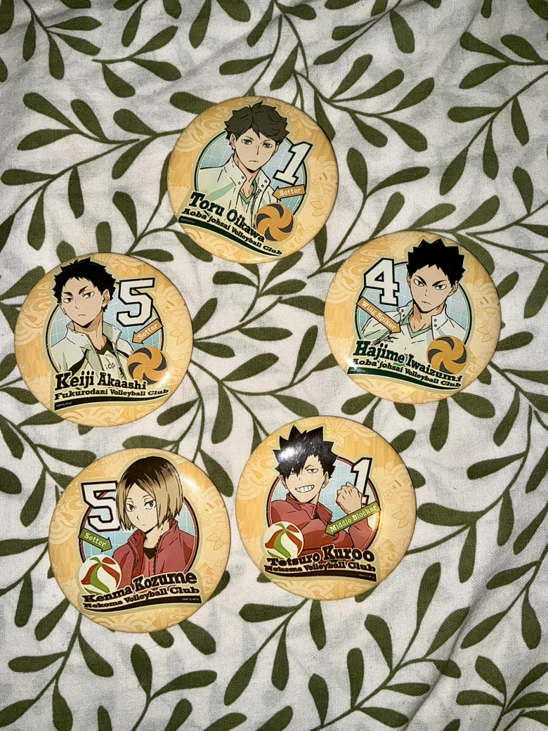 Set of 5 Haikyuu Character Pins