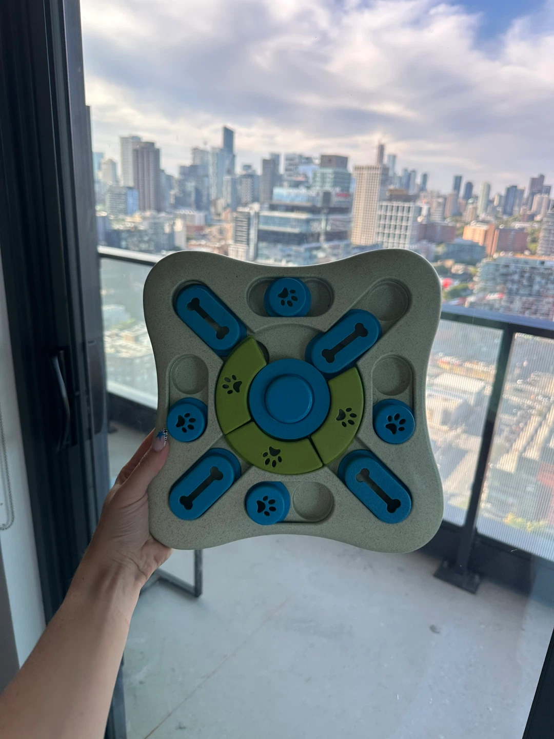 Dog Puzzle Toy