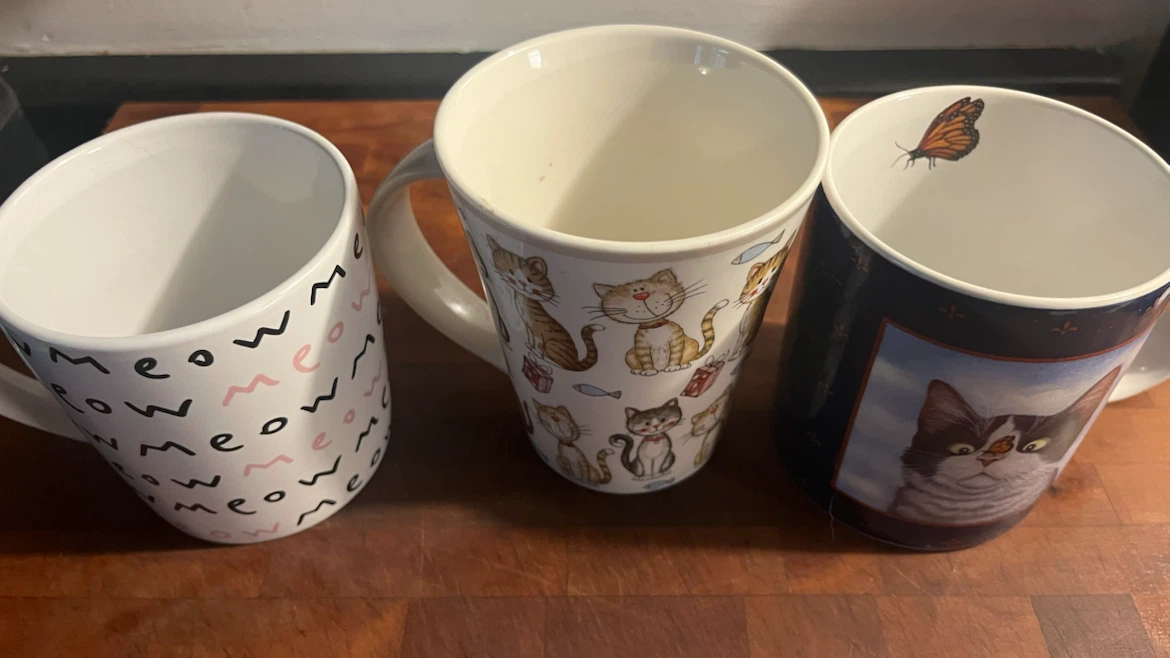 Set of 3 Cat-Themed Ceramic Mugs - photo 4