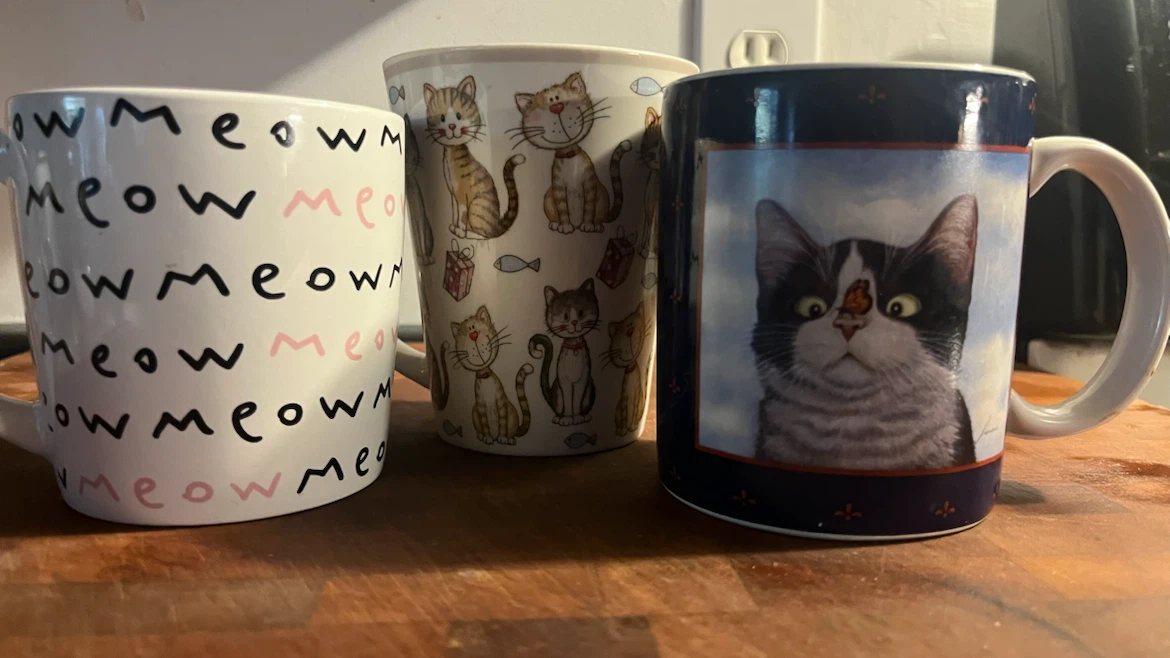 Set of 3 Cat-Themed Ceramic Mugs - photo 5