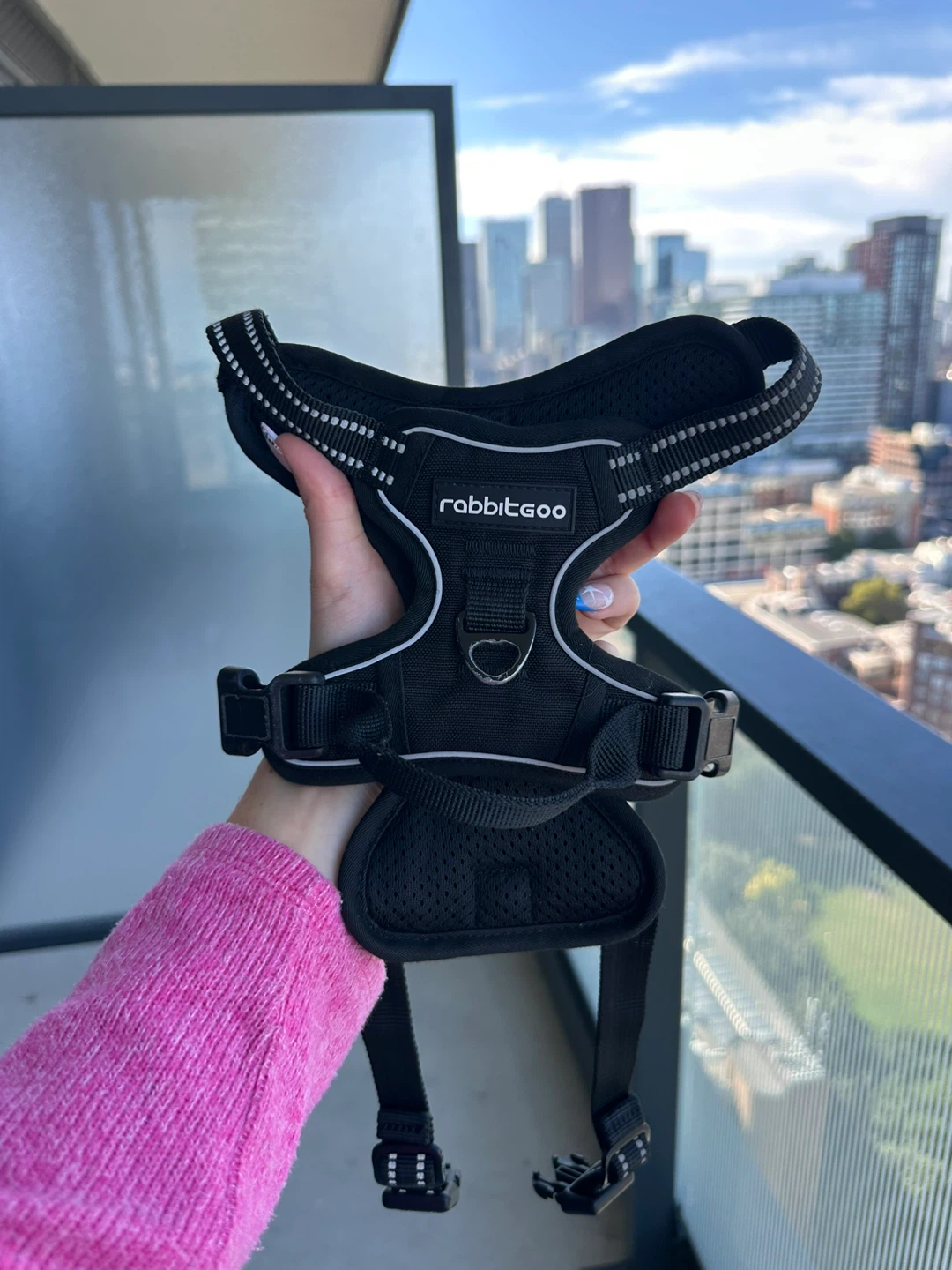 Rabbitgoo Small Dog Harness