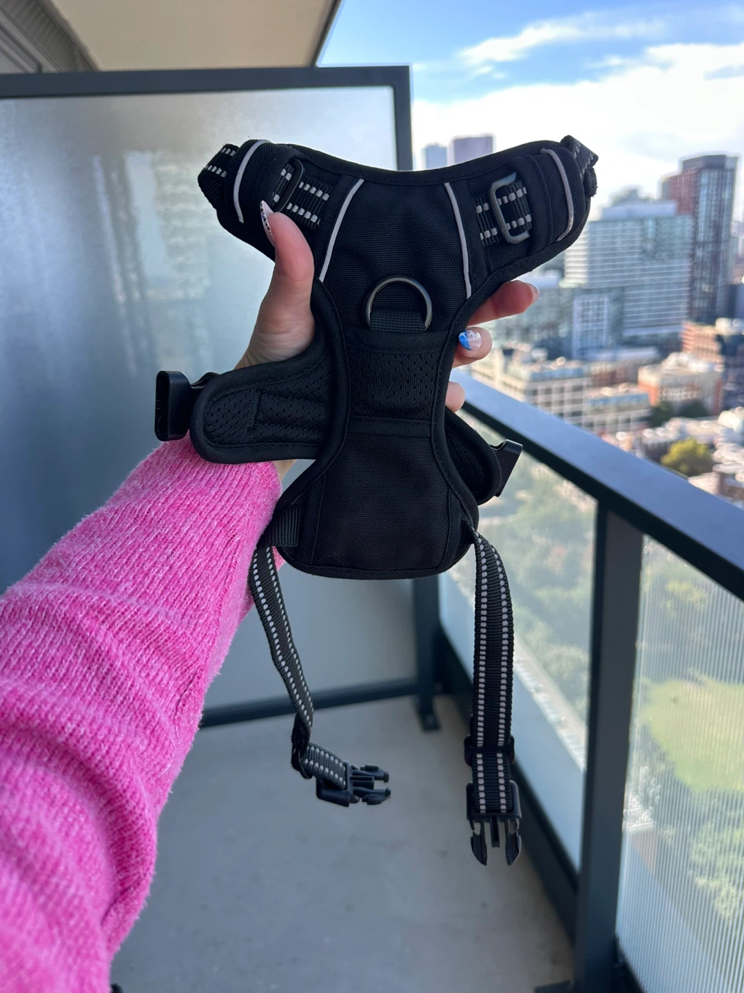 Rabbitgoo Small Dog Harness - photo 2