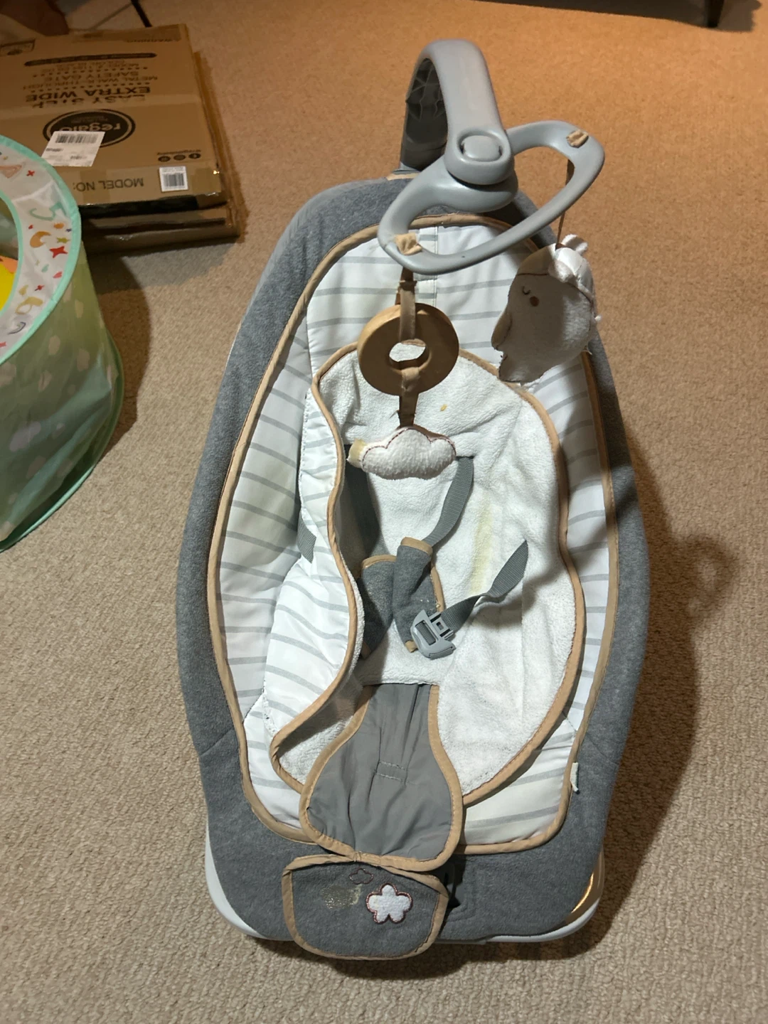 Ingenuity Baby Bouncer