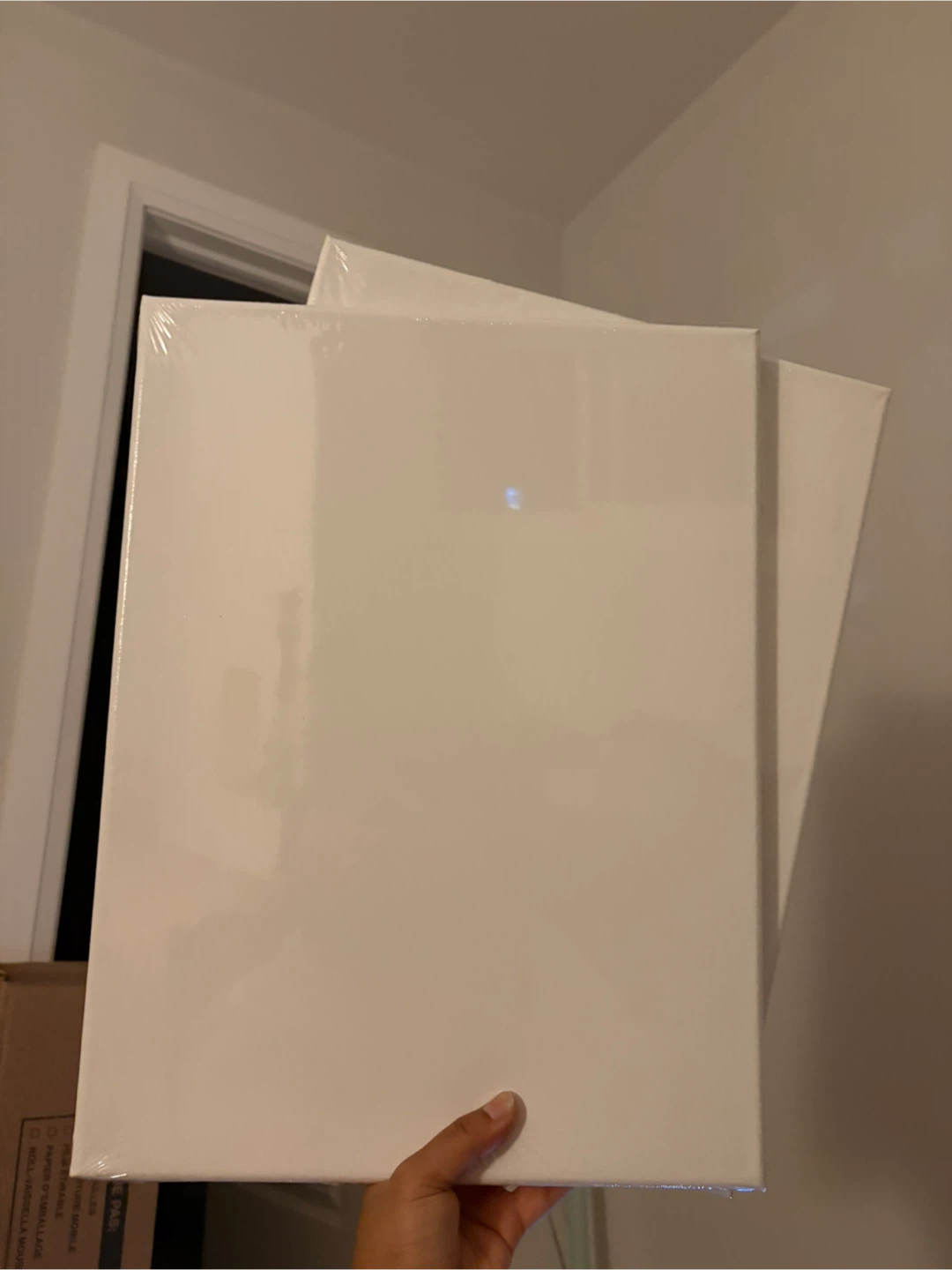 Two Blank Artist Canvases