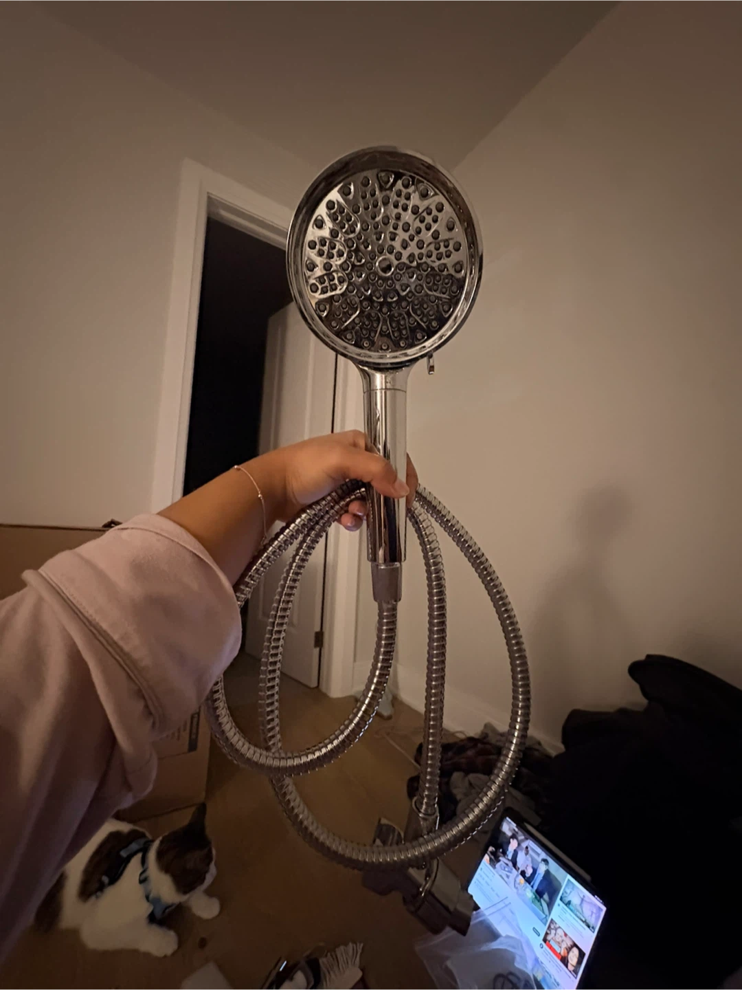 Handheld Shower Head with Hose
