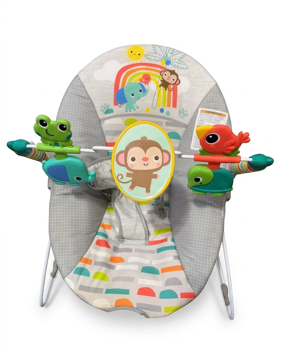 Bright Starts Baby Bouncer