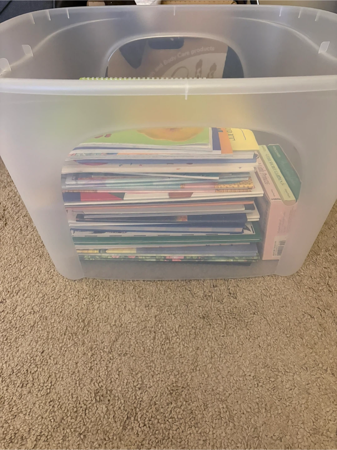 Large Collection of Children’s Books