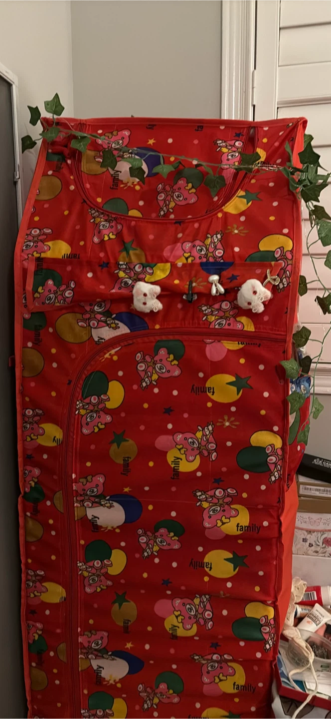 Cute little wardrobe/ organizer