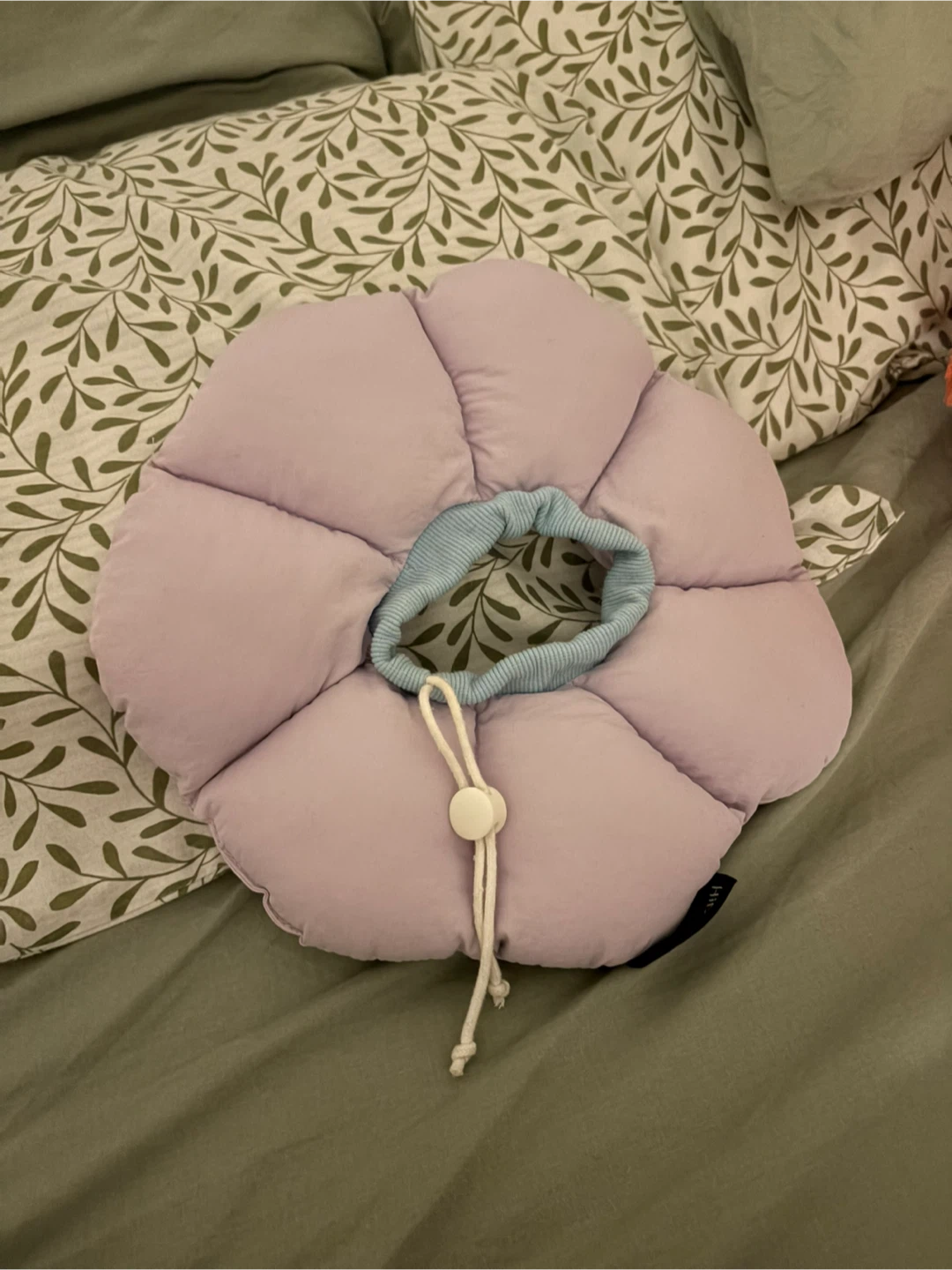Hie pet recovery collar