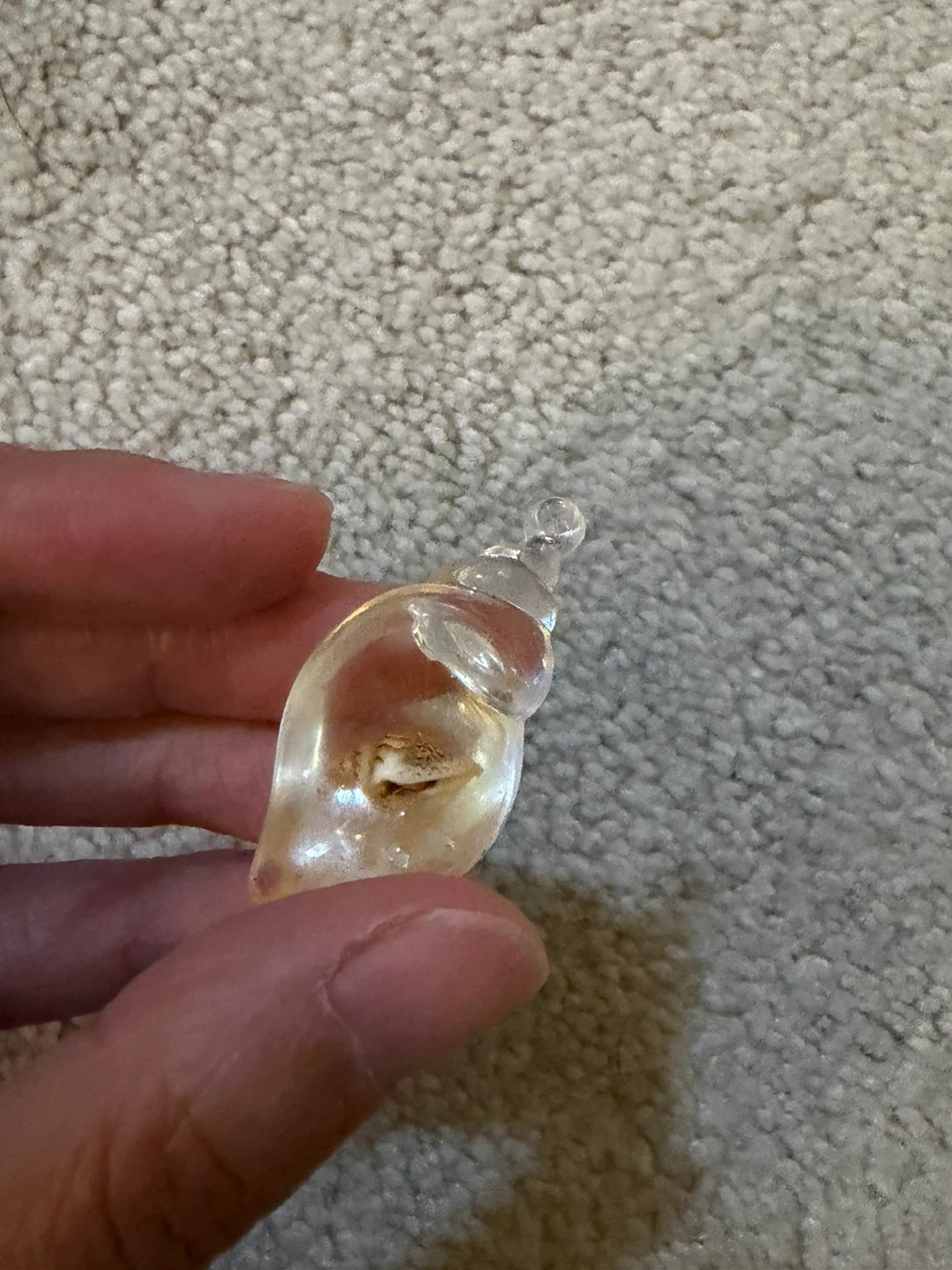 Clear Resin Sea Shell Pendant - photo 4