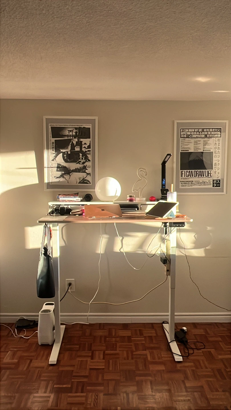 FEZIBO Electric Standing Desk with Desk Shelf