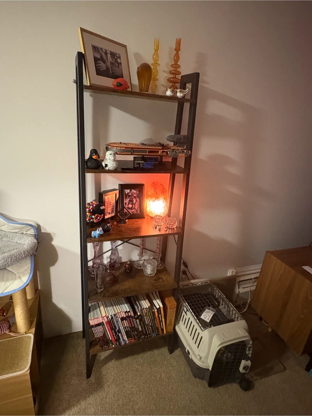 Tiered shelving case