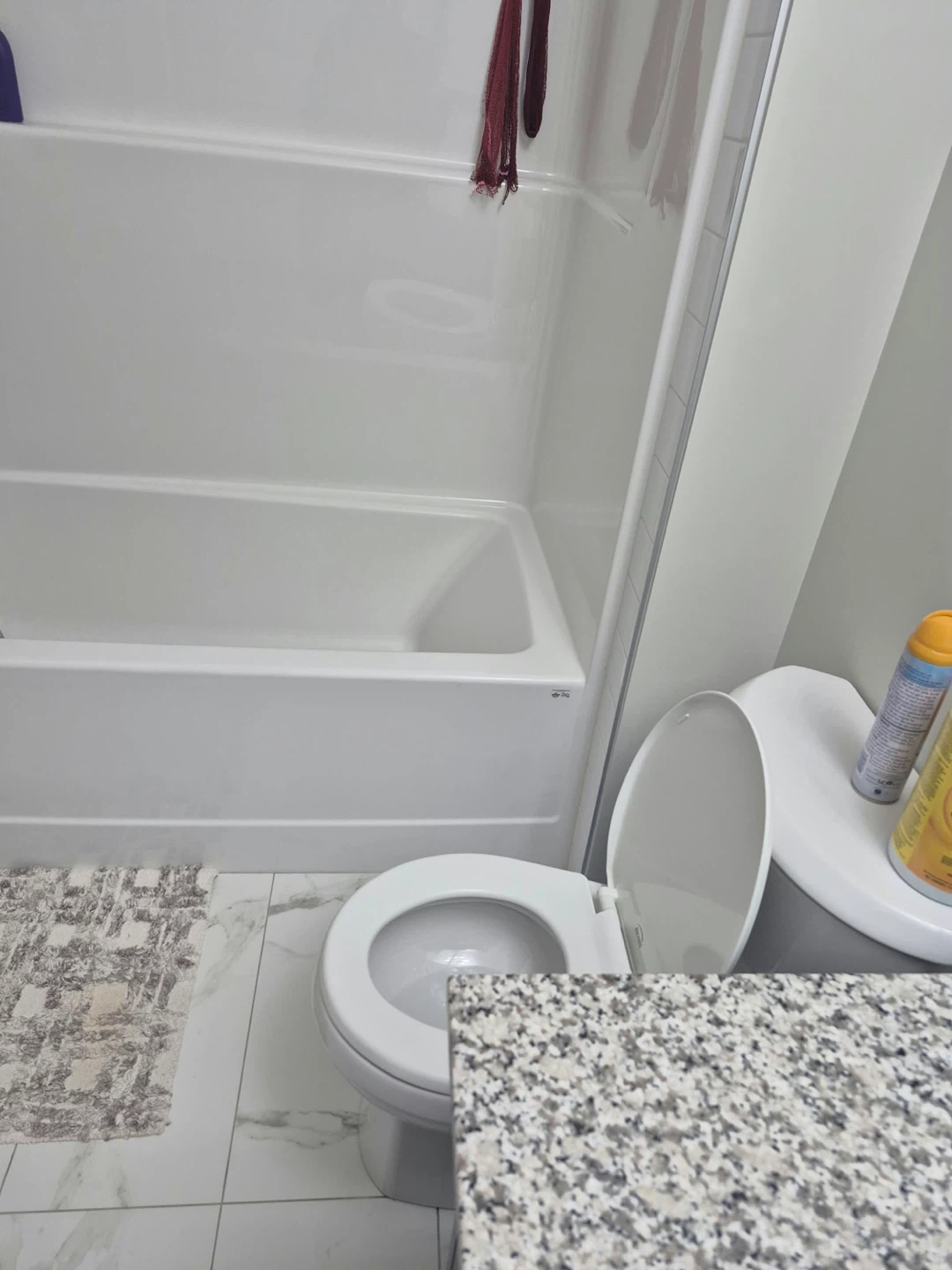 FEMALE ROOMMATE NEEDED - photo 3