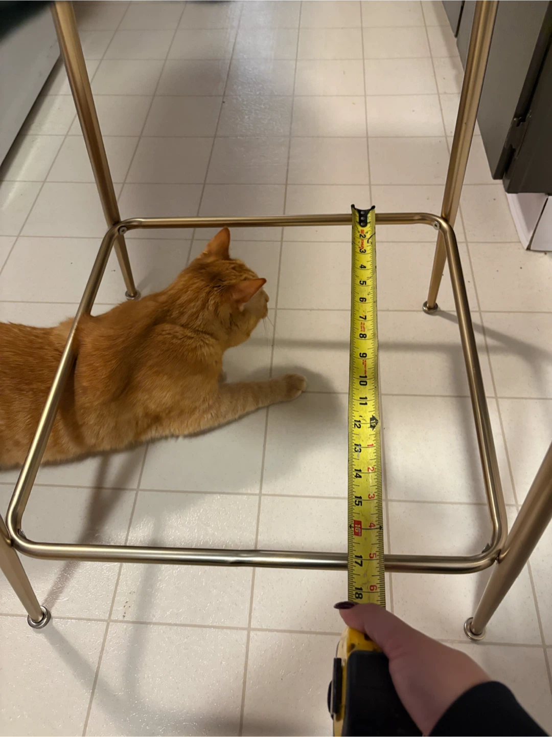 Structube Bar Stools / chairs (cat not included) - photo 3