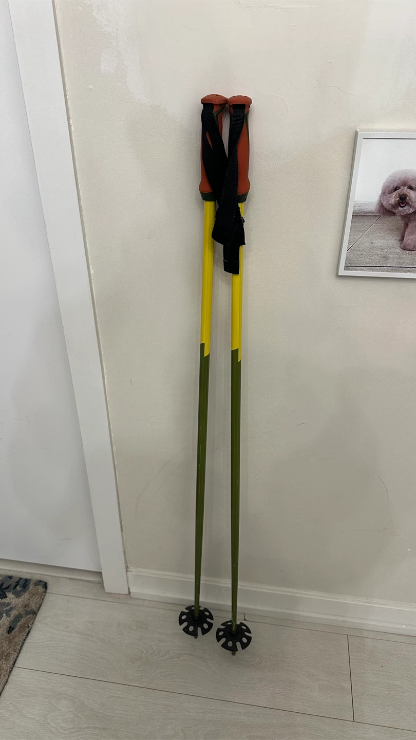 Volkl Ski Poles