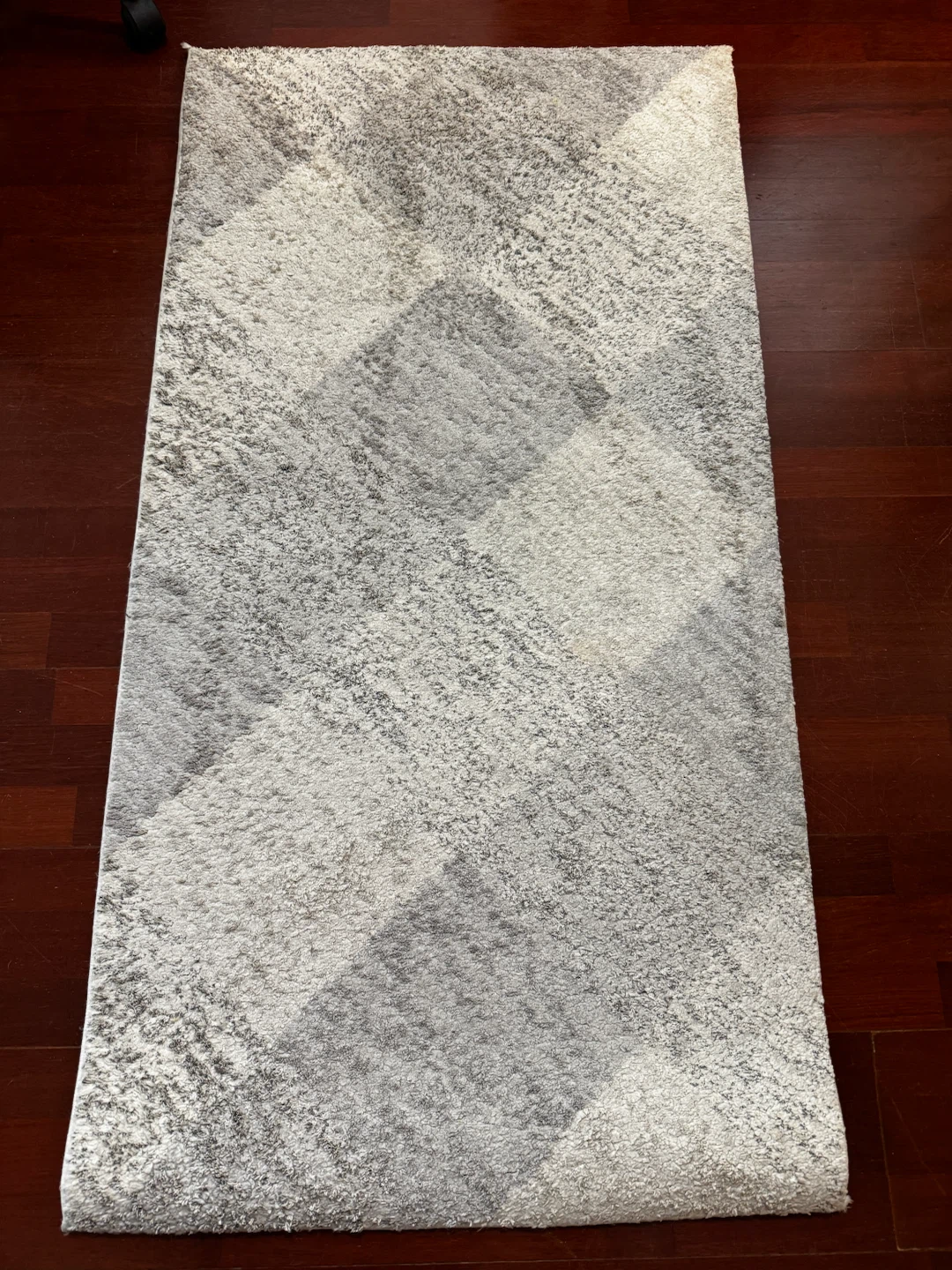Dynamic Rugs Monroe Area Rug