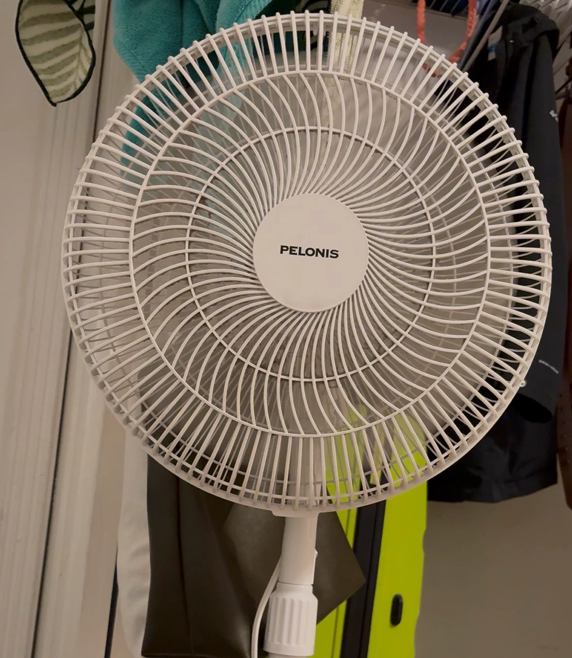 Standing fan- 1 yr old, moving sale
