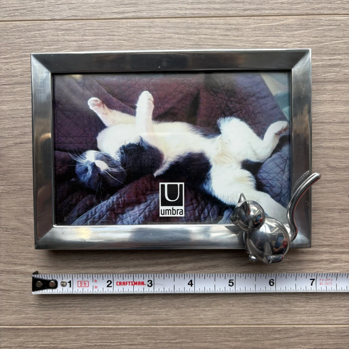 Umbra Kitty 4x6 Picture Frame